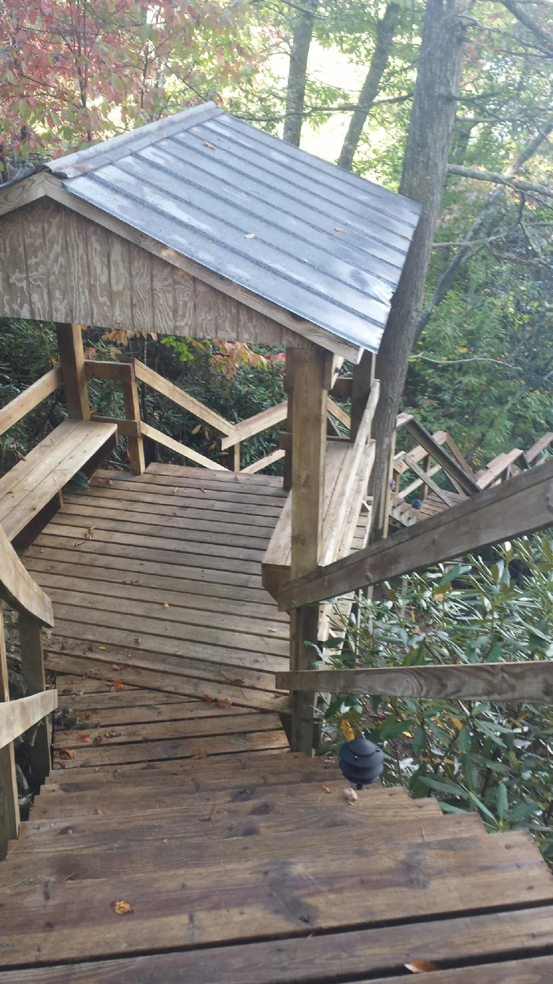 Metal roofed shelter over wooden steps on a wooded walkway — Skylight Repair & Installation work by our crew in Dunsmuir