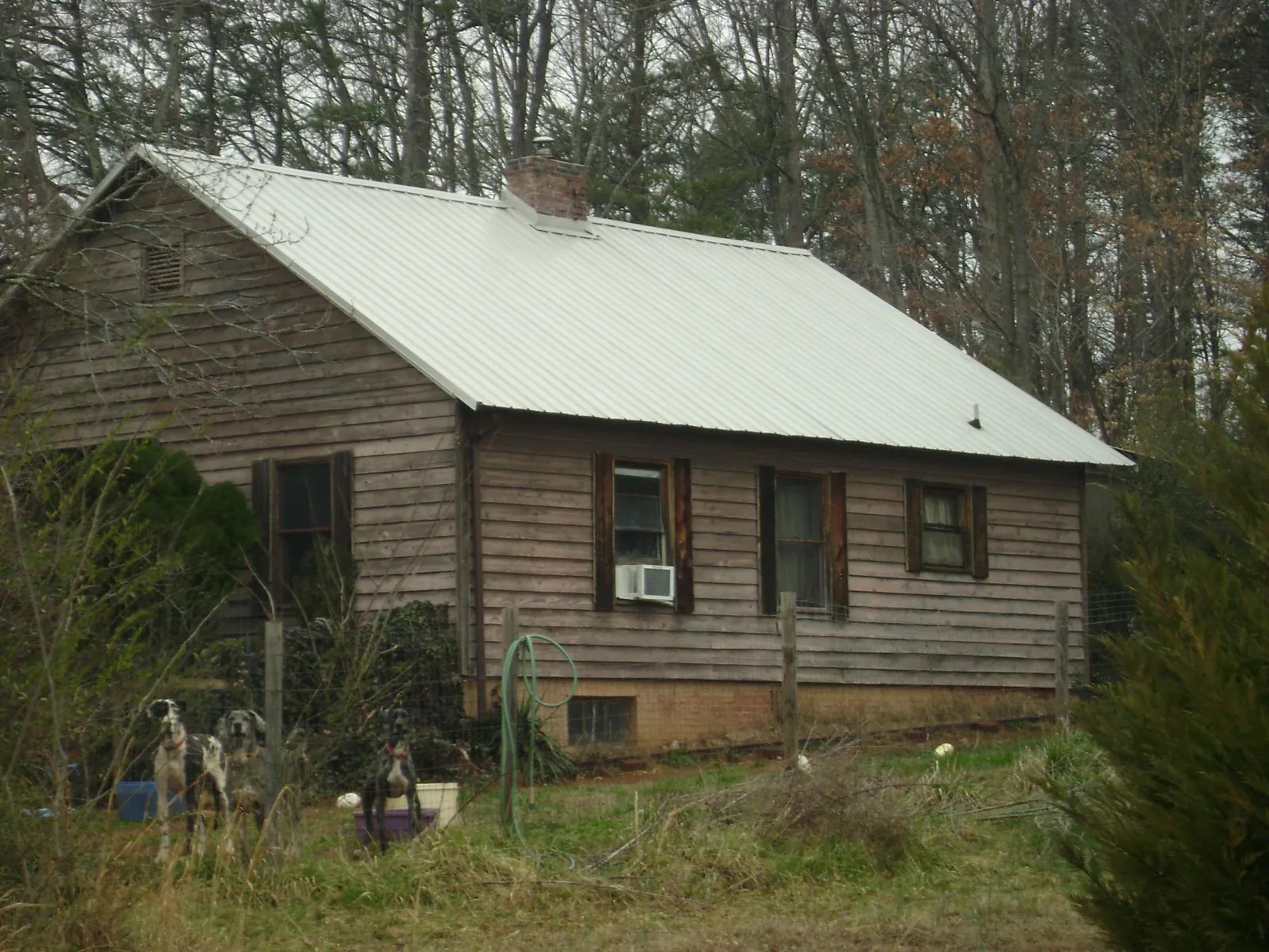 White metal roof on an old wood sided farmhouse, from a Asphalt Shingle Roof Repair job in Dunsmuir